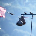 Vp4-martin-airshow