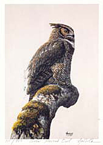 #159 Great Horned Owl