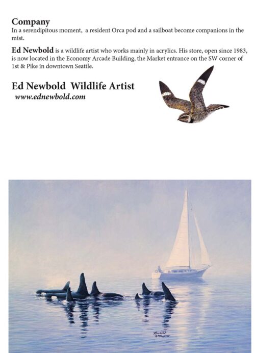 image of Notecard of Orcas and sailboat by Seattle Wildife Artist Ed Newbold