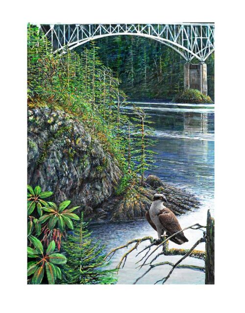 Print of a painting of Deception Pass in WA state with an Osprey by Seattle Wildlife Artist Ed Newbold