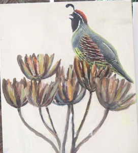 gambel's quail painting august 8 2015