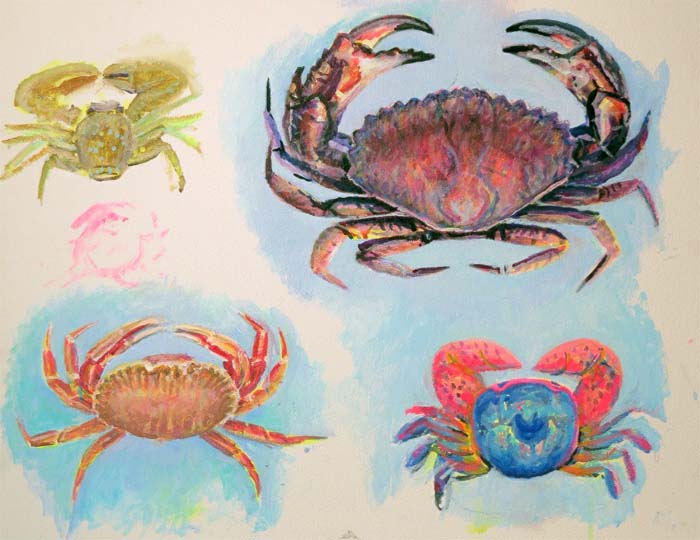 crabs 2 nov 5 2015