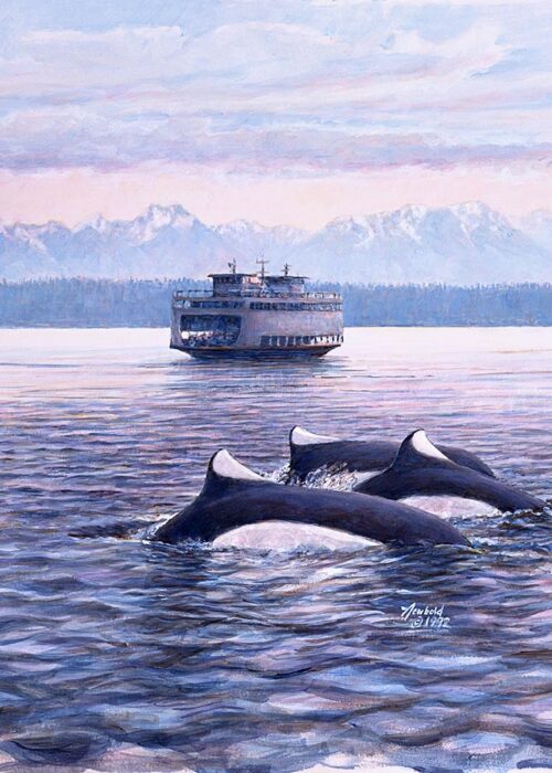 #419 Dall Porpoise 12 x 16" (vertical)