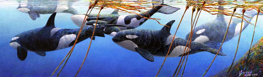 "Orcas" print of painting by Ed Newbold