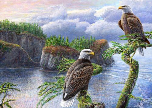 print of a painting of a pair of Bald Eagles at Cape Flattery, the NW tip of the United States, on the Makah Indian Reservation.