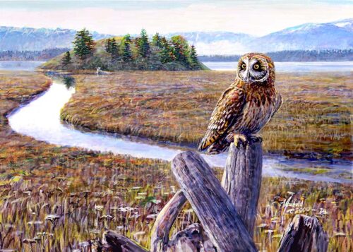 #559 Short-eared Owl at North Fork (in 8 x 10 mat)