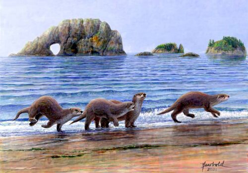 #668 Hole-in-the-wall Gang! (River Otters) (9 x 12 print for 11 x 14 mat)