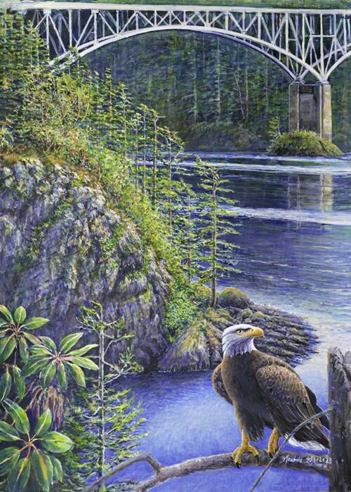 12 s 16 print of a painting by Ed Newbold of a Bald Eagle at Deception Pass State Park