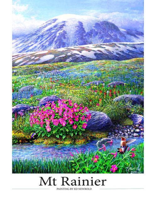 #418 Rufous Hummingbird at Paradise (12 x 16)