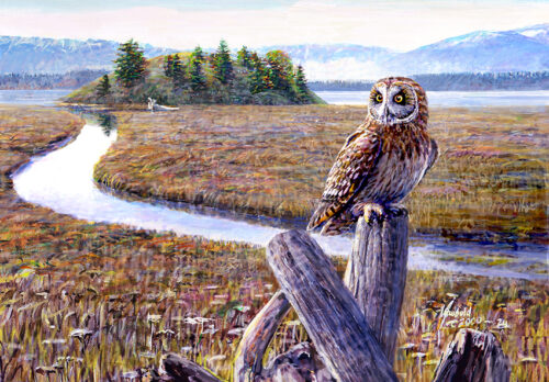 #638 Short-eared Owl at North Fork (9 x 12 print for 11 x 14 mat)