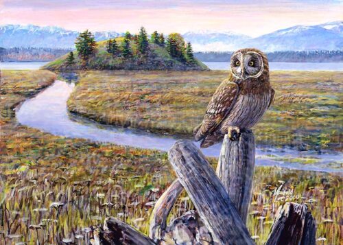 Short-eared Owl print of painting by Seattle Wildlife Artist Ed Newbold