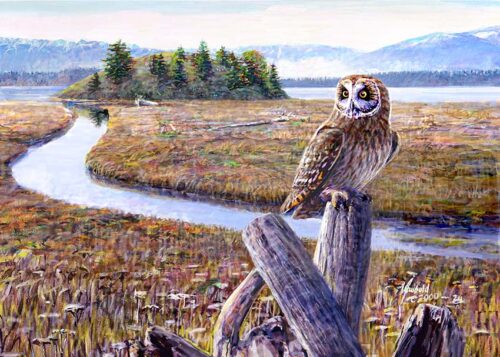 #536 Short-eared Owl at North Fork (12 x 16)