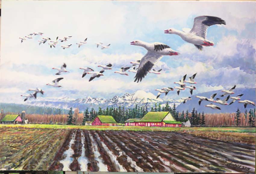 Painting of Snow Geese in the Skagit valley by Seattle Wildlife Artist Ed Newbold