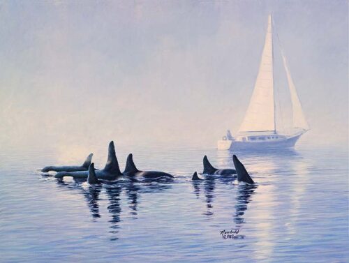 print of a painting of Orcas passing a sailboat by Seattle Wildlife Artist Ed Newbold