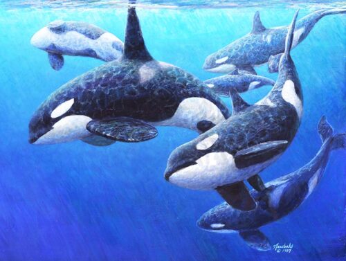 print of a painting of six Orcas swimming underwater by Seattle Wildlife Artist Ed Newbold