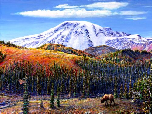 #741 Rainier (Elk) (8 x 10)
