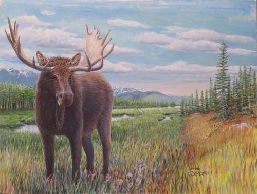 Painting of a Bull Moose by Seattle Wildlife Artist Ed Newbold