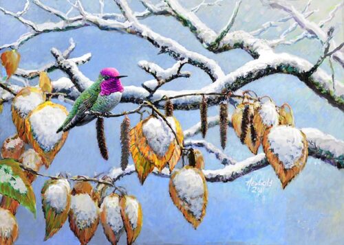 Print of a Painting of Anna's Hummingbird in snow by Seattle Wildlife Artist Ed Newbold