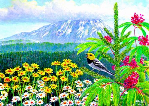 #791 Hermit Warbler above the Cowlitz Valley