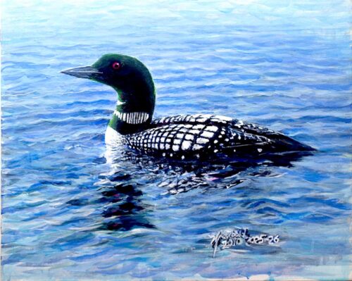 Common Loon ORIGINAL 16 x 20 Canvas
