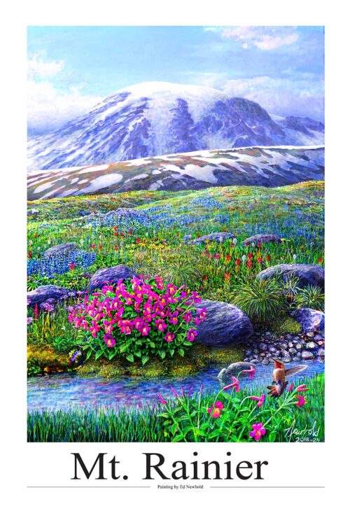 #849 Mt. Rainier--Rufous Hummingbird at Paradise (20 x 30" print)