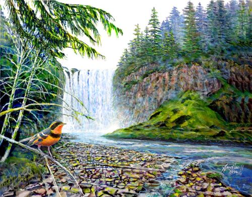 #778 Snoqualmie Falls (with Varied Thrush) (12 x 16)