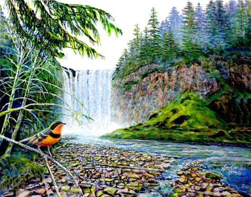 #778 Snoqualmie Falls (with Varied Thrush) (12 x 16)