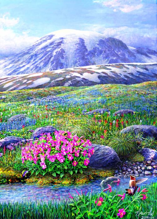 #742 Rufous Hummingbird at Paradise (8 x 10) (fits 9 x 12 mat)