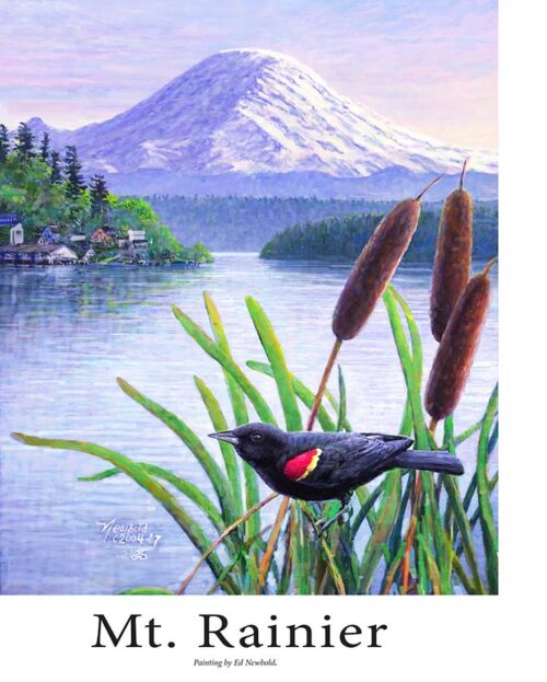 #718 Redwing & Rainier (8 x 10) for 9 x 12 mat 2026 version